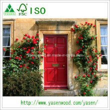 Primed Wooden Veneer Doors Home Building Door Skin